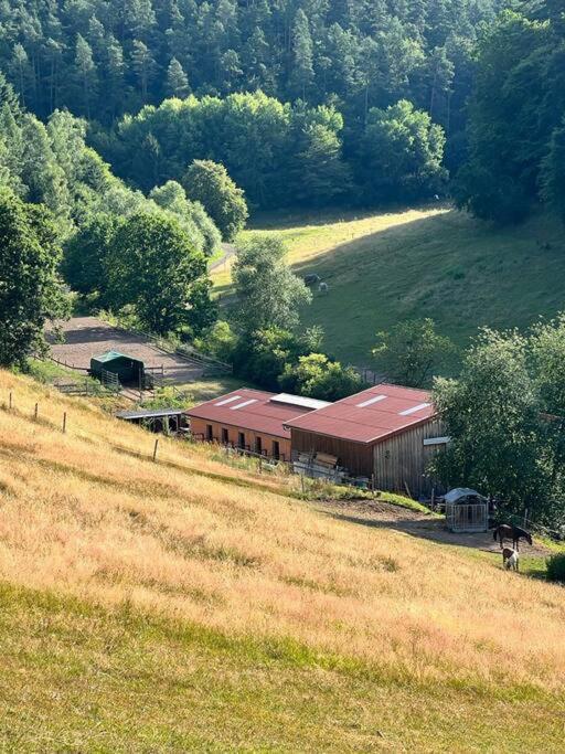 Ferienwohnung Beim Pferdehof Neuenstein  Bagian luar foto