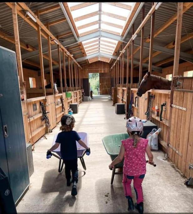 Ferienwohnung Beim Pferdehof Neuenstein  Bagian luar foto